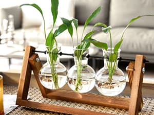 XXXFLOWER Plant Terrarium with Wooden Stand, Air Planter Bulb Glass Vase Metal Swivel Holder Retro Tabletop for Hydroponics Home Garden Office Decoration - 3 Bulb Vase