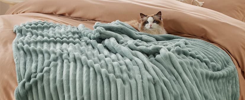 Bedsure GentleSoft White Throw Blanket for Couch - Cozy Blanket for Women, Cute Fleece Throws for Girls, Teacher Gifts Birthday Gifts for Women Men Mom, Room Home Dorm Decor, Off White, 50x60 Inches