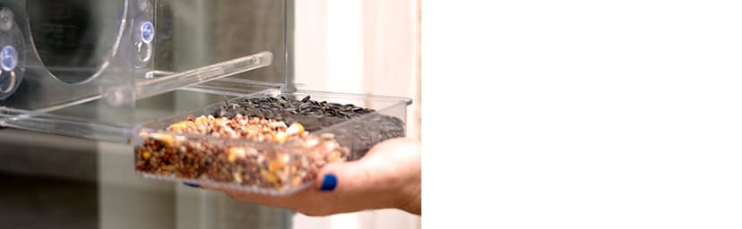 Nature Anywhere Window Bird Feeder - Transparent Acrylic Bird Feeders for Outdoors - Enhanced Suction Grip, Bird Watching for Cats, Easy-to-Clean, Outdoor Birdhouse Feeder (1 Unit)