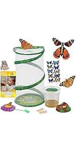 Insect Lore Butterfly Garden Kit – 10 Live Caterpillars, Habitat, STEM Journal, 2 Chrys-a-lid Holding Logs & Feeder – Grow & Release Painted Lady Butterflies – Educational Science Toy