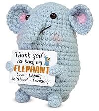 OASSIE Christmas Thank You Gifts for Women Friends - Thank You for Being A Friend Emotional Support Crochet Tulip with Card - Birthday Gifts for Women Friendship, Friend Gift for Coworker Sister