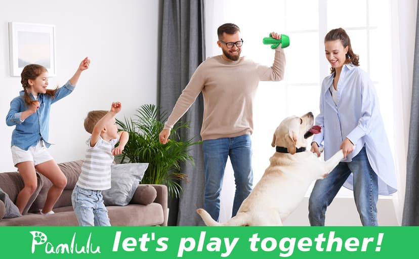 Dog Chew Toys Dog Toothbrush Stick Teeth Cleaning Brush Dental for Medium Large Dog, Puppy Christmas Easter Birthday Gifts, Outdoor Squeaky Toys for Aggressive Chewers Interactive Tough Toys