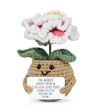 OASSIE Teacher Gifts for Women - Mini Handmade Positive Apple Crochet with Message Card - Teachers Day Christmas Birthday Graduation Appreciation Thank You School Gifts for Students Teachers Women