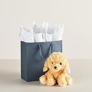 Hallmark 9" Medium Graduation Gift Bag with Tissue Paper (Gold and Silver Mortarboards on Black) for College, High School, 8th Grade, Kindergarten, Nurses