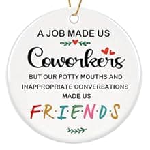 Sister Christmas Ornaments 2025,Sister Ornament for Christmas Tree,Best Sister Gifts,Friends Ornaments for Women,Friendship Gift for My Sister