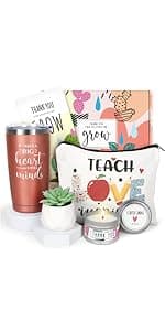 Best Teacher Appreciation Gifts,20 OZ Insulated Tumbler for Women Teacher,Unique Gift Ideas from Students - Funny Socks Thank You Basket Box for New Teachers,Christmas Gifts for Teachers