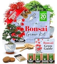 Bonsai Tree Kit - Gifts for Men & Women - Grow 4 Bonsai Trees - Unique Gardening Crafts for Adults, DIY Hobbies for Plant Lovers & Gardeners - Unusual Christmas Gift Ideas for Mom & Dad