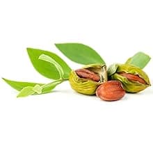 10 Pack Hand Cream for Dry Cracked Hands, Birthday Gifts for Women,Bridesmaid Gifts, Thank You Gifts, Teacher Appreciation Gifts, Natural Plant Fragrance Mini Hand Lotion Moisturizing Hand Care Cream