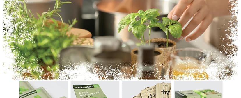 greenoak Heated Blanket Electric Throw, Soft Fleece Heating Blanket with 10 Heat Levels, 8 Hours Auto-Off, Christmas Gifts for Grandma/Seniors/Mom, Misty Grey, 50"X60"