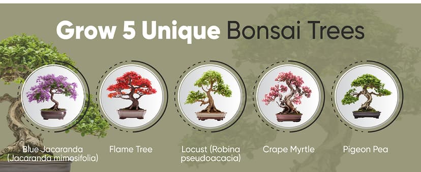 Bonsai Tree Kit for Beginners – 5X Unique Japanese Bonzai Trees | Complete Indoor Starter Kit for Growing Bonsai Plants with Tools & Planters – Gardening Gifts for Women & Men