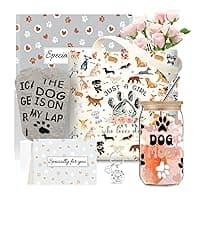 Dog Mom Gifts for Women, 16OZ Glass Cup Unique Christmas Gifts Idea Box set with Socks for Dog Lovers, Dog Mom Birthday Mothers Day Gifts Basket