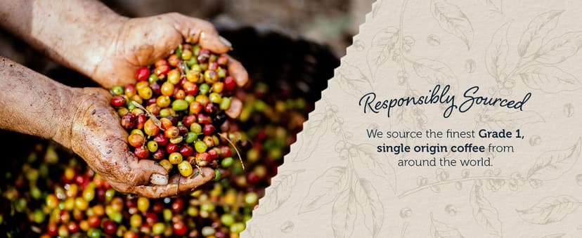 Gourmet Coffee Sampler Gift Box Set, Roasted Coffee Ground, Sumatra Dark, Kenya AA Medium-Dark, Rwanda Medium, Natural Ethiopian Light, Ground, 4 Bags, 16 oz Total