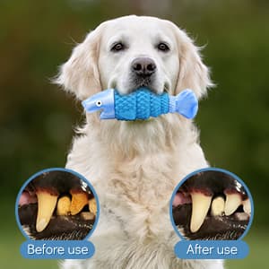WinTour Tough Dog Toys for Aggressive Chewers, Indestructible Dog Chewers for Medium & Large Breeds, Squeaky Durable Chew Toys to Keep Them Busy, Reduce Boredom, Teeth Cleaning, Bacon Flavor