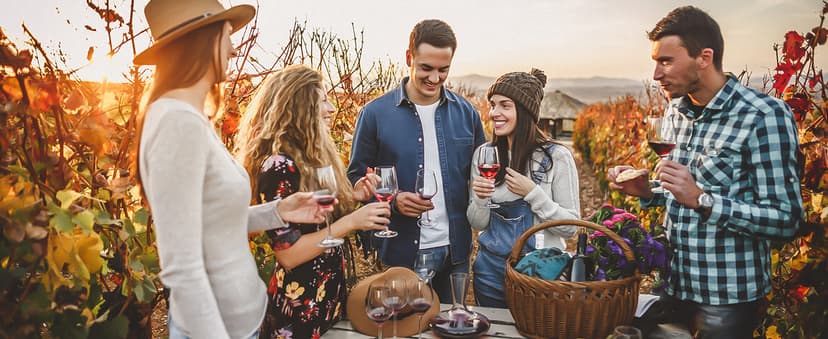 Rechargeable Electric Wine Gift Set - Aerator, Vacuum Stoppers, Foil Cutter and Bottle Opener for Home Bar and Outdoor Parties