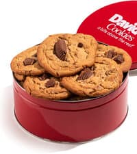 David's Cookies Assorted Fresh Baked Decadent Cookie Gift Tin – 2lb Basket with 8 Jumbo Cookies – Soft and Chewy Bakery-Style Dessert for Birthdays, Holidays, Thank You and Special Occasions
