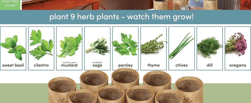 greenoak Heated Blanket Electric Throw, Soft Fleece Heating Blanket with 10 Heat Levels, 8 Hours Auto-Off, Christmas Gifts for Grandma/Seniors/Mom, Misty Grey, 50"X60"