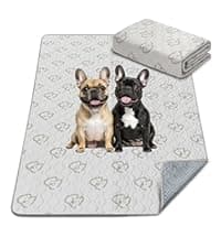 brainPLAY Halloween Puzzles: A Challenging Halloween Activity Book for Kids Ages 7 and Up with Over 200 Puzzles, Logic Games, Mazes and Hidden ... Spook-tacular Fun (brainPLAY Puzzle Books)