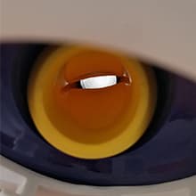 VINGLI Pool Vacuum Cleaner Automatic Sweeper Swimming Pool Creepy Crawler Vacuum with 33FT Hoses (Navy Blue&White)