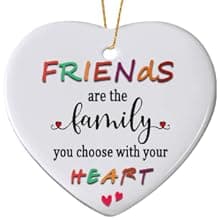 Friends Christmas Ornaments 2025, Friend Ornaments for Women, Friends are The Family We Choose Ornament, Best Friend, Friendship Gifts for Women