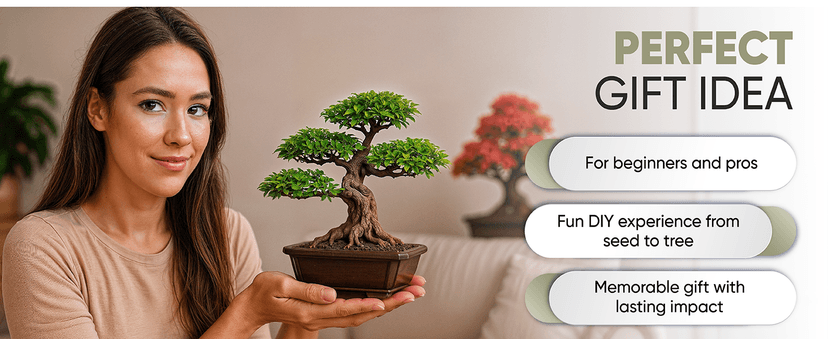 Bonsai Tree Kit for Beginners – 5X Unique Japanese Bonzai Trees | Complete Indoor Starter Kit for Growing Bonsai Plants with Tools & Planters – Gardening Gifts for Women & Men