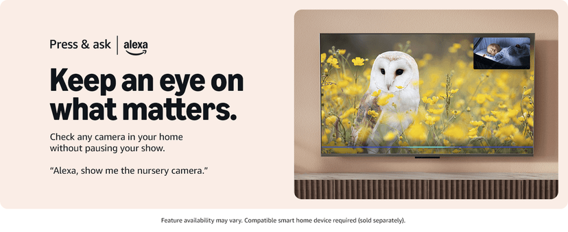 INSIGNIA 32" Class F20 Series LED HD Smart Fire TV with Alexa Voice Remote (NS-32F202NA26)