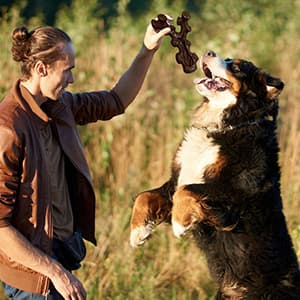 2 Pack Dog Chew Toys for Aggressive Chewers,Boredom and Stimulating Best Dog Toys for Medium/Large Breed,Tough Almost Indestructible Dog Bones for Teeth Cleaning and Training