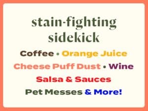 BISSELL Little Green Mini Portable Carpet and Upholstery Deep Cleaner, Car/Auto Detailer, with HydroRinse Self-Cleaning Tool and 4" Tough Stain Tool, Tea Green, 4075