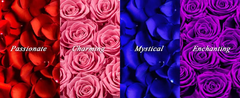 27 Forever Roses in Luxury White Box, Eternal Real Roses Gift for Women, Preserved Flowers for Delivery Prime, Anniversary, Valentine's Day, Birthday for Her (Red)