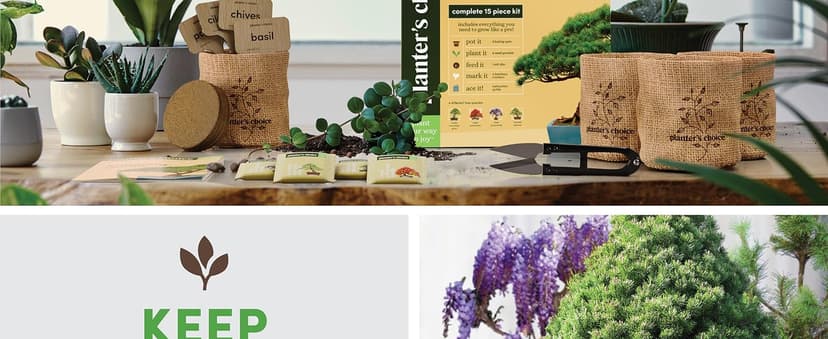 Bonsai Starter Kit - Gardening Easter Gift for Women & Men - Bonsai Tree Growing Garden Crafts Hobby Kits for Adults, Unique DIY Hobbies for Plant Lovers - Unusual Christmas Gifts Ideas