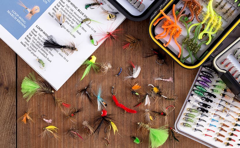 BASSDASH Fly Fishing Assorted Flies Kit, Pack of 64 pcs Including Dry and Wet Flies, Nymphs, Streamers, Terrestrials, Leeches and More, with Magnetic Fly Box